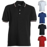 Polo anpas