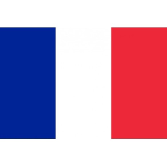 BANDERA FRANCESA